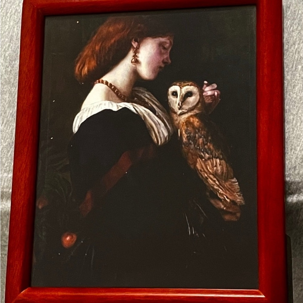 Lady with Owl Dark Wall Art